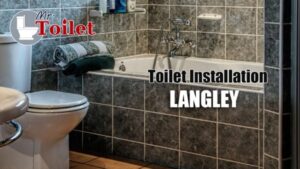 Toilet-Installation-langley Burnaby