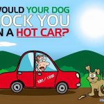 owner locked by a dog in a hot car