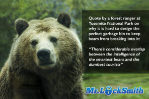 Bear Proof Bins Man vs Bear Mr Locksmith Burnaby